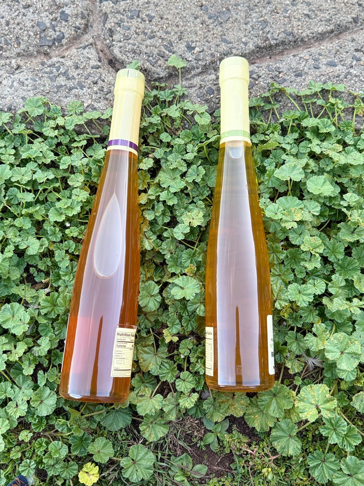 Premium quality 100% natural raw unfiltered pure (black saga) honey.20oz